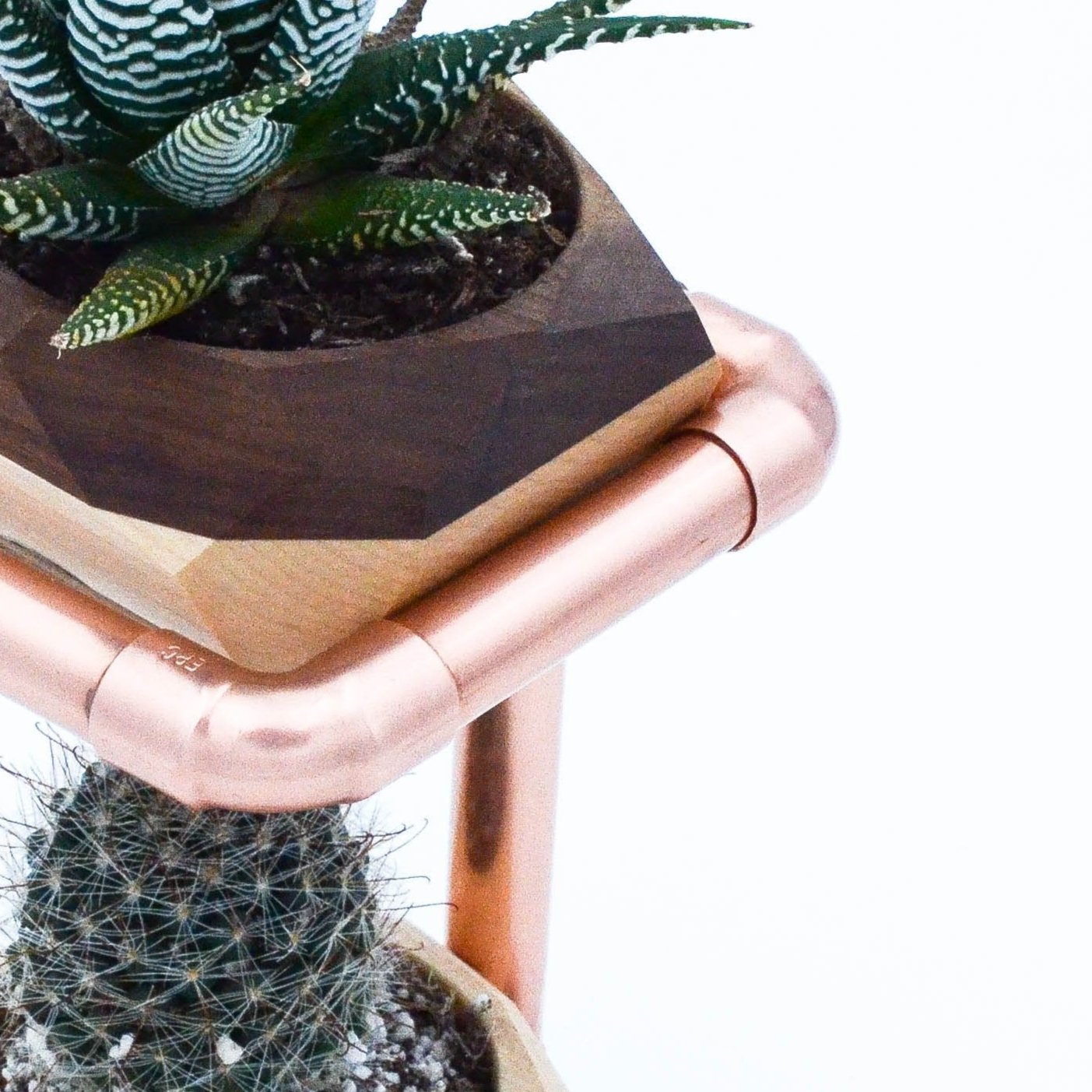 Geometric Cactus & Succulent Copper Planter Stand