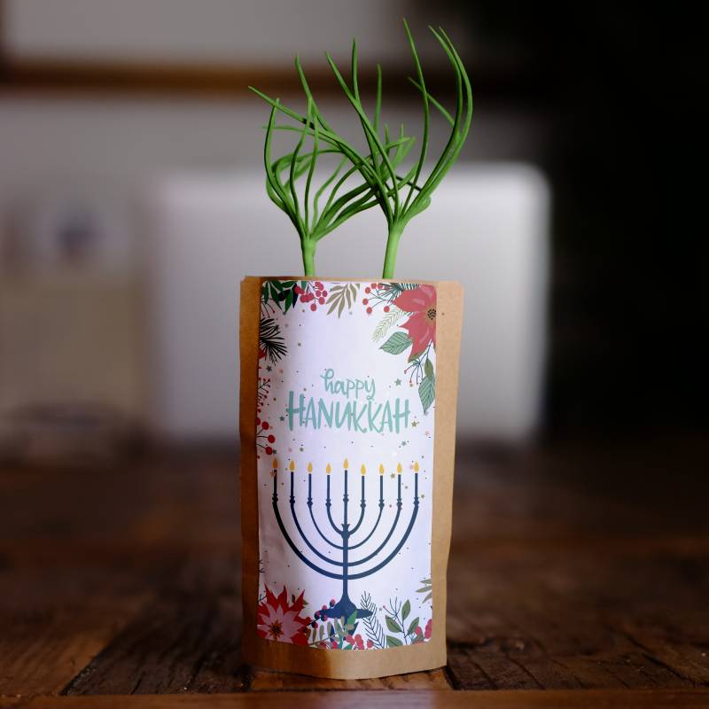 Tree Growing Kit • Happy Hanukkah 1