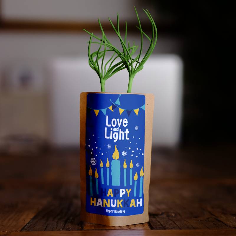 Tree Growing Kit • Happy Hanukkah 2