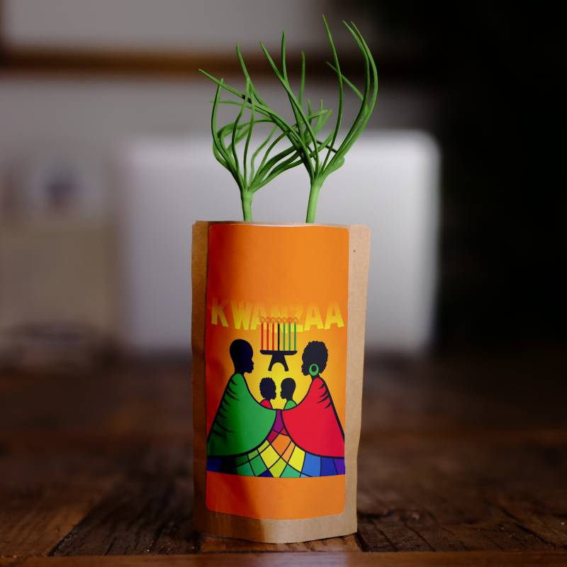 Tree Growing Kit • Happy Kwanzaa 2