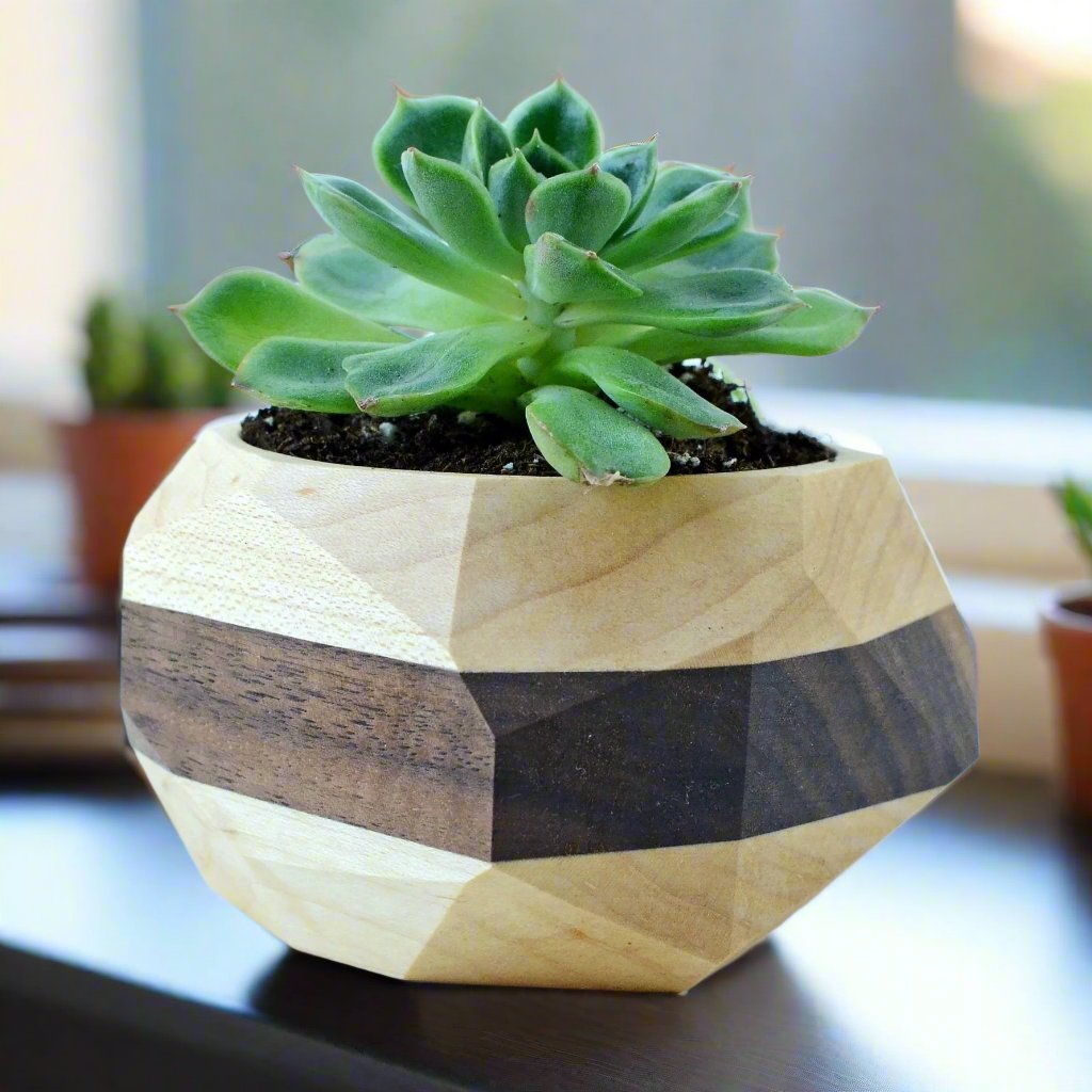 Geometric Cactus & Succulent Planter