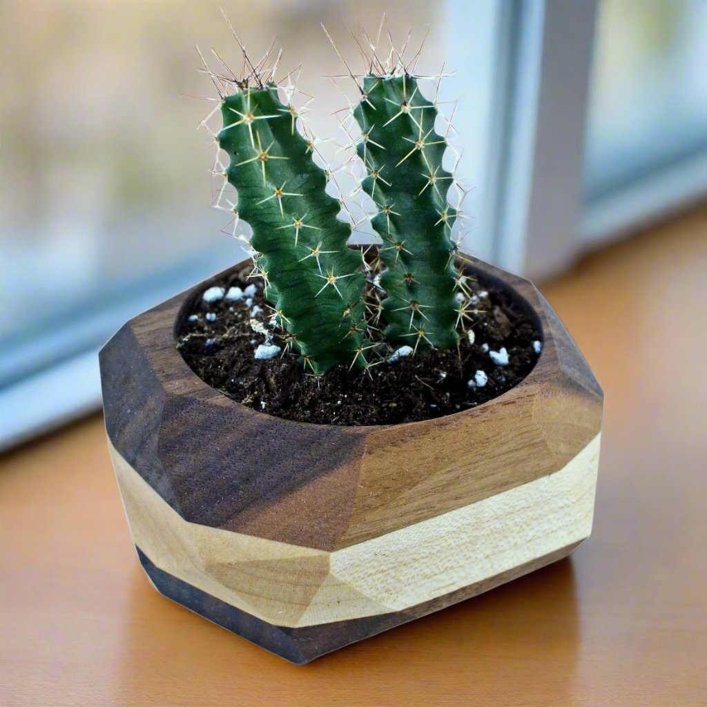 Geometric Cactus & Succulent Copper Planter Stand