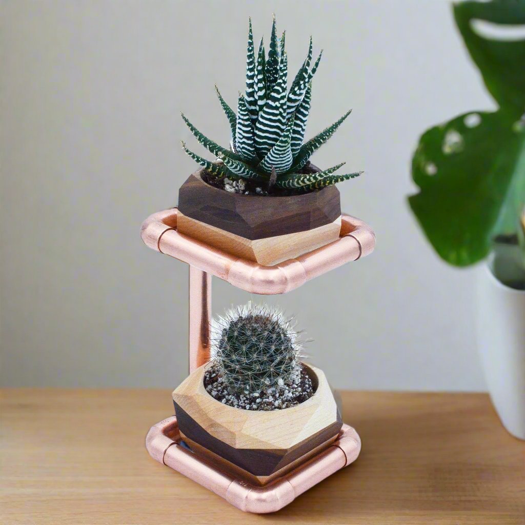 Geometric Cactus & Succulent Copper Planter Stand